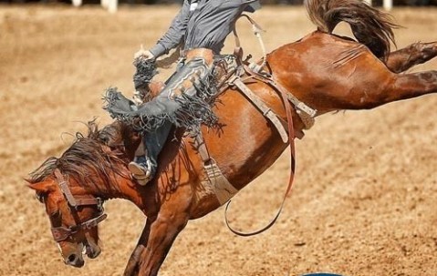 爱游戏体育-Karsa赛事官方发布败北新规，加拿大队争议不断！的简单介绍